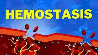 Hemostasis | How We Stop Bleeding