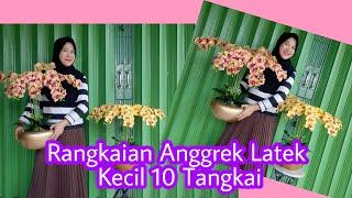 RANGKAIAN ANGGREK LATEK KECIL 10 TANGKAI II TUTORIAL MERANGKAI ANGGREK LATEK