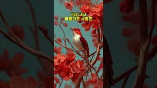 가장 크고 아름다운 사랑은  #마음공부 #긍정적마인드 #끌어당김의법칙 #좋은글 #자기수행 #힐링영상 #마인드셋