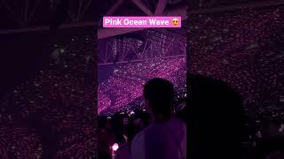 Pink Ocean Wave of Blinks #blackpink #bornpinkworldtour#fyp