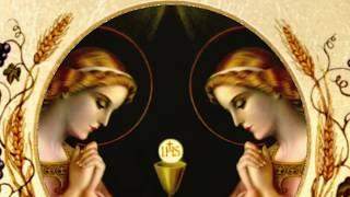 A Spiritual Communion - Daughters of Mary, Mother of Our Savior