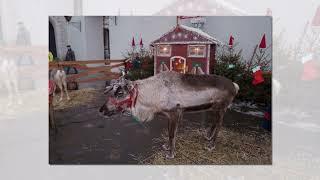 Szczecin Christmas Market | Szczeciński Jarmark Bożonarodzeniowy 2021