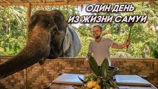 Один день из жизни на острове Самуи