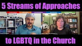 The 5 Streams of Approaches to LGBTQ in the Church | Linda Seiler Interview Segment