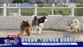 盯我狗幹嘛! 遛狗被控擋路釀糾紛 2人衝突｜TVBS新聞