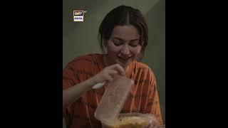 Biryani Lover  #sharjeena  #mustafa  #couple  #shorts