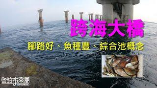 再訪跨海大橋，臭肚攻略，甚麼魚都有的綜合池!  #澎湖 #橋墩 #釣魚記