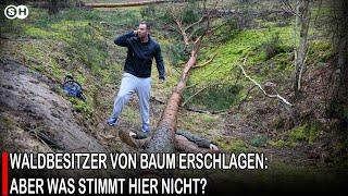 WALDBESITZER VON BAUM ERSCHLAGEN: ABER WAS STIMMT HIER NICHT? #germany | SH News German