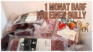 Barf, 1 MONAT BARF KAUFEN - Preis, Menge - Wo bestellt man Barf?