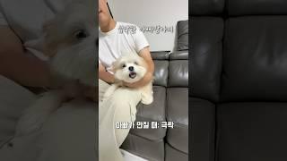 아빠 vs 엄마 만질 때 차이