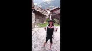 23.08.15 old and new barns in Villaz village, Alps