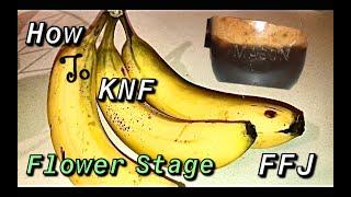 How To KNF ( Korean Natural Farming and it’s Organic Inputs ) Bloom FFJ with Banana