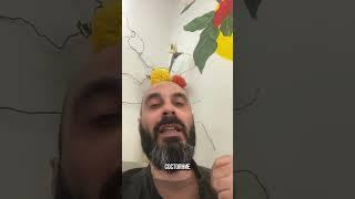 Как работает система кодирования сознания