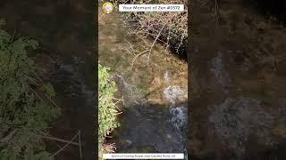 ScienceMan Moment of Zen 0572 #peaceful #cotswolds #uk #river #stream #water #nature #asmr