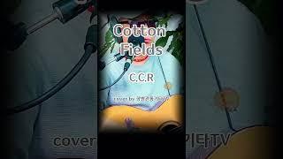 Cotton Fields (C.C.R) 기타 라이브 커버 (Shorts Cover) #CCR #CottonFields #기타커버
