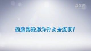 复旦大学附属中山医院重症医学科主任钟鸣告诉你为什么感染后会复阳？重症有何表现？