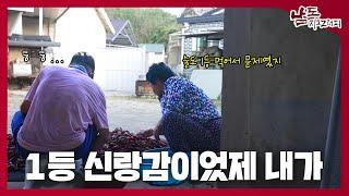 한 눈으로 보고 한 눈으로 흘려블고 그래서 부부간이여 [남도지오그래피｜240911]