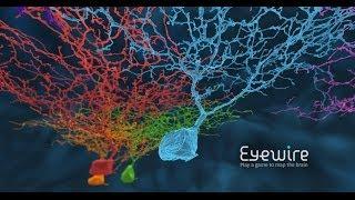 Neurons Discovered by EyeWire Gamers