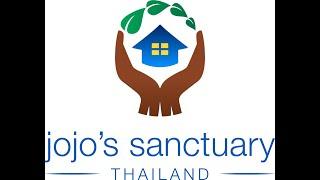 Jo Jo's Sanctuary - Chiang Mai, Thailand