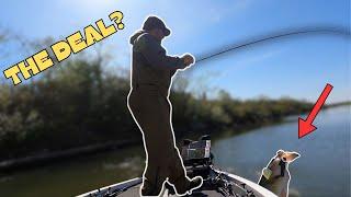 Go-To Texas Rig for Tough Fishing Conditions