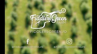 Fiddlers Green Farm - Hey Westminster!