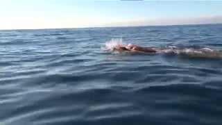 Nathan Muldoon & the Triple Crown of Open Water Swimming ~ 3 min