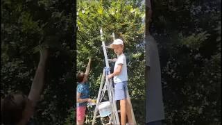 Мы работаем, дети огородничают) #лето #юг #огород #заготовкиназиму