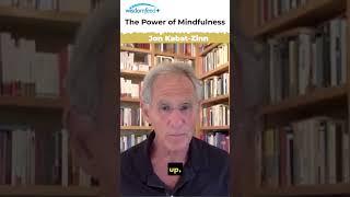️ "Meditation is Not What You Think" with Jon Kabat-Zinn ‍️