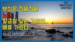 부산부동산 부산아파트 부산은 진짜진짜 노답. 황금알 낳는 거위의 배를 가르다