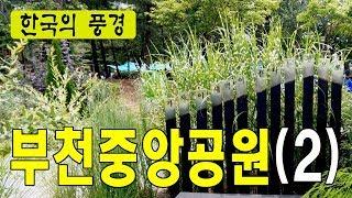 부천 중앙공원 (2) - 경기도 부천시, 중앙생태공원, 능소화, 들꽃, 연꽃, 분수대길, 중앙공원구석구석,  한국여행추천TV, 4k