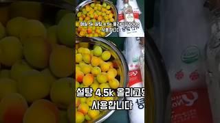 매실청 담그는 방법 #매실#매실청#홍매실청