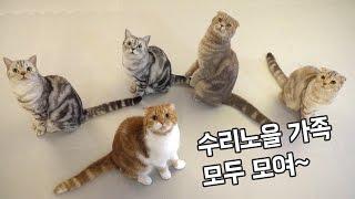 모두 모여~ 수리노을가족│생방 하이라이트Gather around~The SuriNoel family【수리노을 SURI&NOEL】
