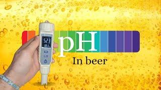 Measuring pH in Beer