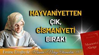 EMİNE EROĞLU İLE MESNEVÎ-İ NURİYE OKUMALARI - 197: HAYVANİYETTEN ÇIK, CİSMANIYETİ BIRAK!