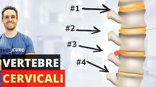 Come risolvere i PROBLEMI alle VERTEBRE CERVICALI (esercizi efficacissimi)