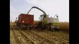 kukurydza 2012 z claas & john deere