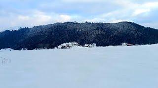 Bolu Abant Gölü - Gezelim Görelim #shorts #reels #youtube #abant #bolu #travelling #travel #gezi