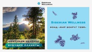 Фонд "Мир Вокруг Тебя". Сохраним зеленое будущее планеты!