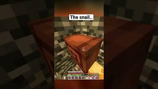 Minecraft The Snail Meme #shorts