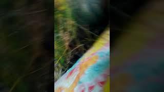 Мой хороший ёжа