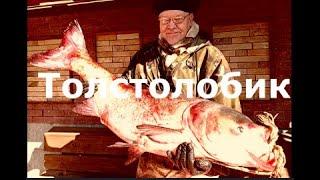 Рёбра полтора пудового ТОЛСТОЛОБИКА в аджике на углях