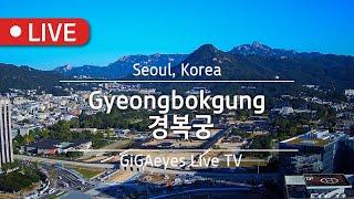 서울실시간 경복궁 Live Cam I "Gyeongbokgung", Seoul, Korea I 광화문 청와대 궁 けいふくきゅう 景福宫 서울관광 首爾風景 한국