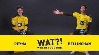 Who am I? | BVB-Challenge with Gio Reyna & Jude Bellingham