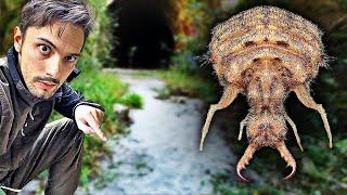 Abenteuer am Lost Place: Unsichtbarer Killer im Sand und mehr