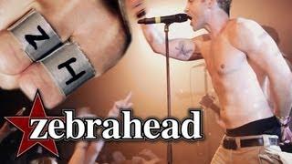 Zebrahead - I'm Just Here For The Free Beer (Official Live Video)