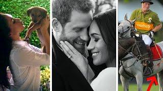 Harry and Meghan Documentary. From Animal Lovers to Royal Lovers.