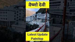 Vaishno Devi Latest Update #shorts #short #vaishnomata #vaishnodevi #patnitop #snowfall #kashmir