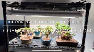 My Indoor Bonsai Grow Lights