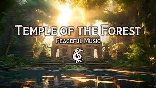 Peaceful Music | Temple Of The Forest God | D&D/RPG Series