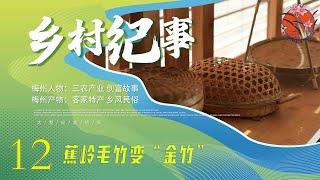 【乡村纪事】12 蕉岭毛竹“变形记”：毛竹到艺术品的逆袭  |乡村纪实类|乡村振兴|